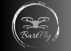 Logo BartFly